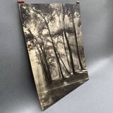 Film photograph by Bernard Darot, Morning in the Bois de Boulogne, Nantes Club