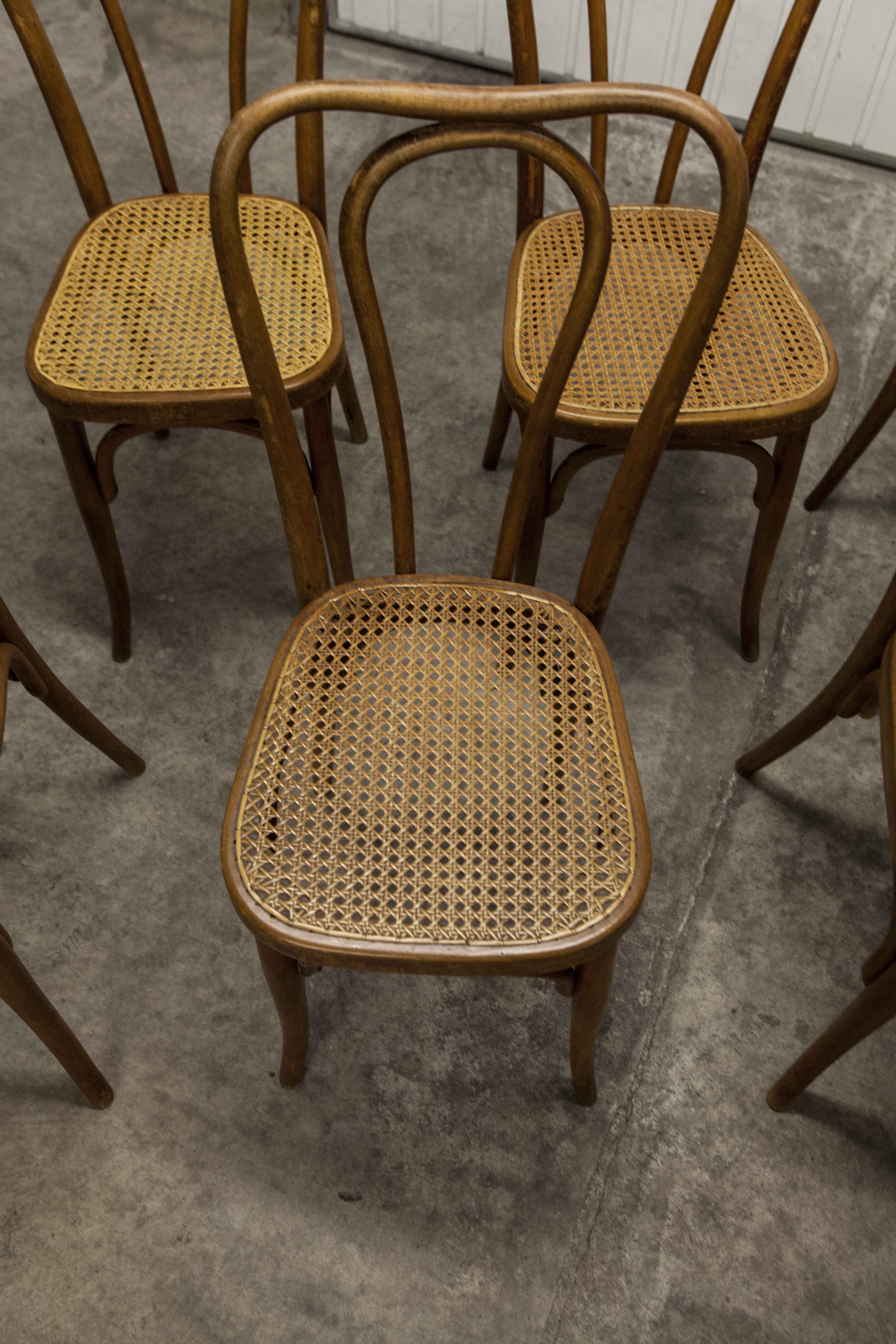 Set of 6 chairs bistro j&j kohn 1900 seat cannage