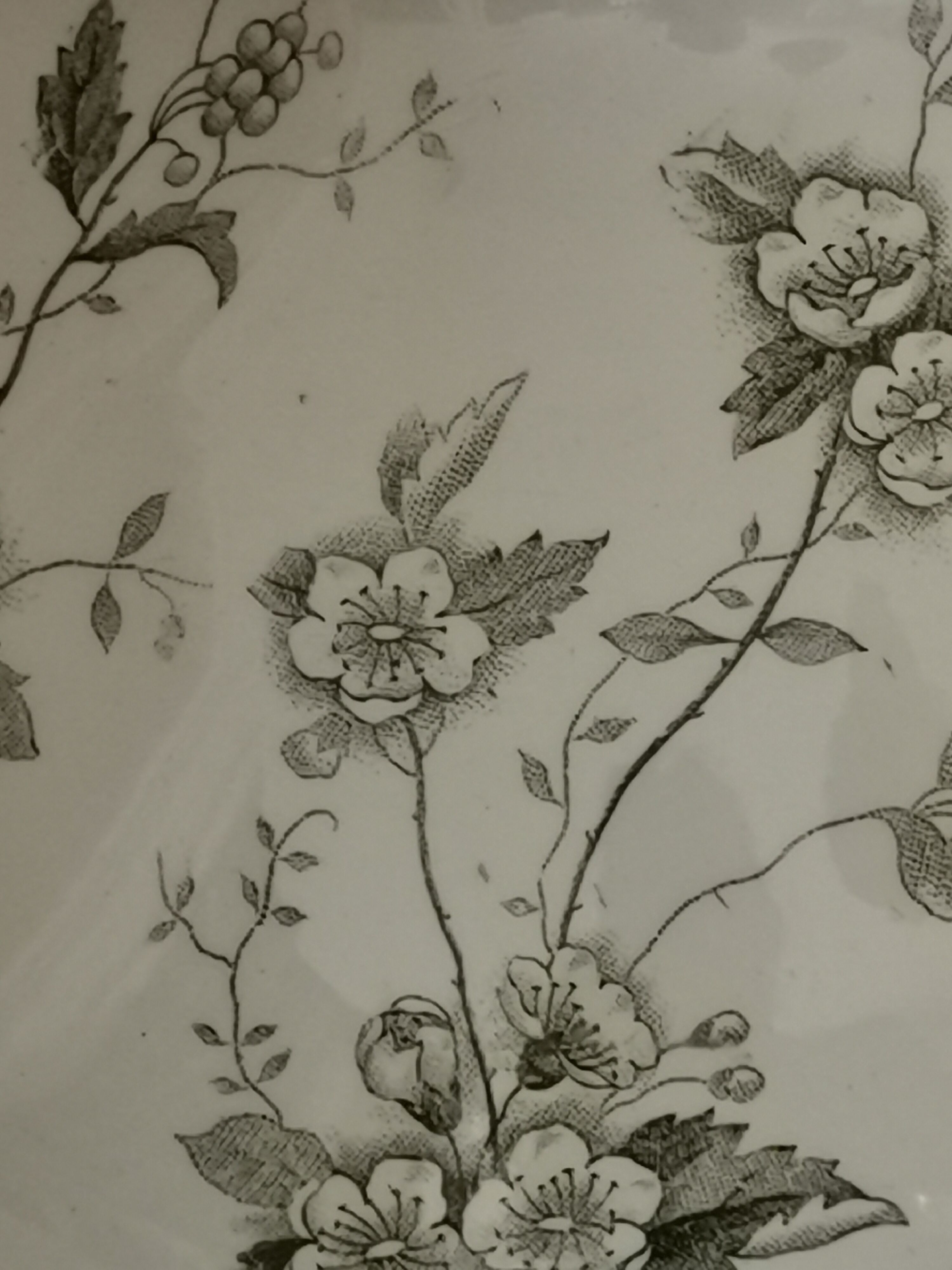 Salad /compotier "Rosette" Saint Amand terre de fer