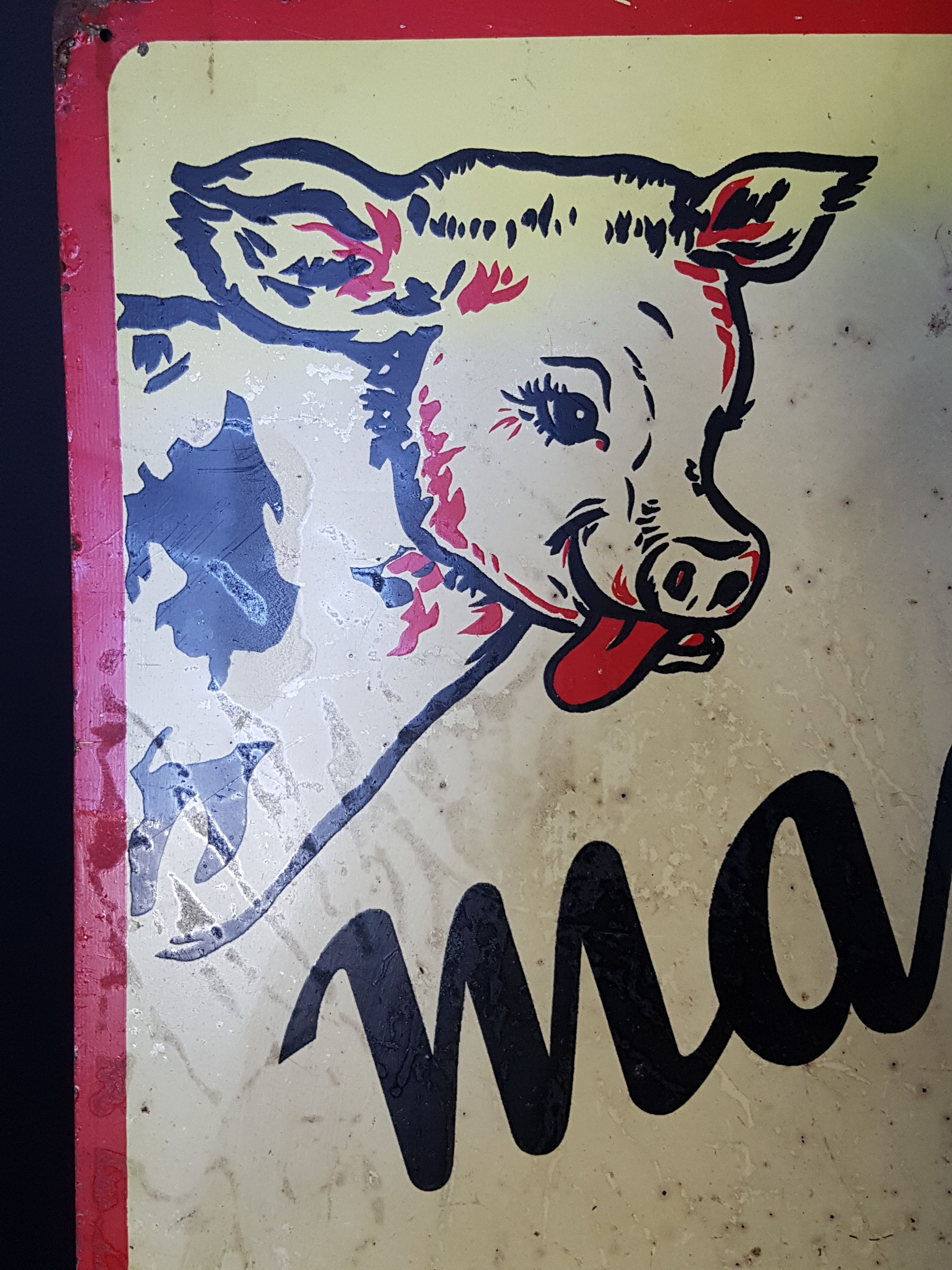Advertising sheet cow pig mamellor 58x40 cm