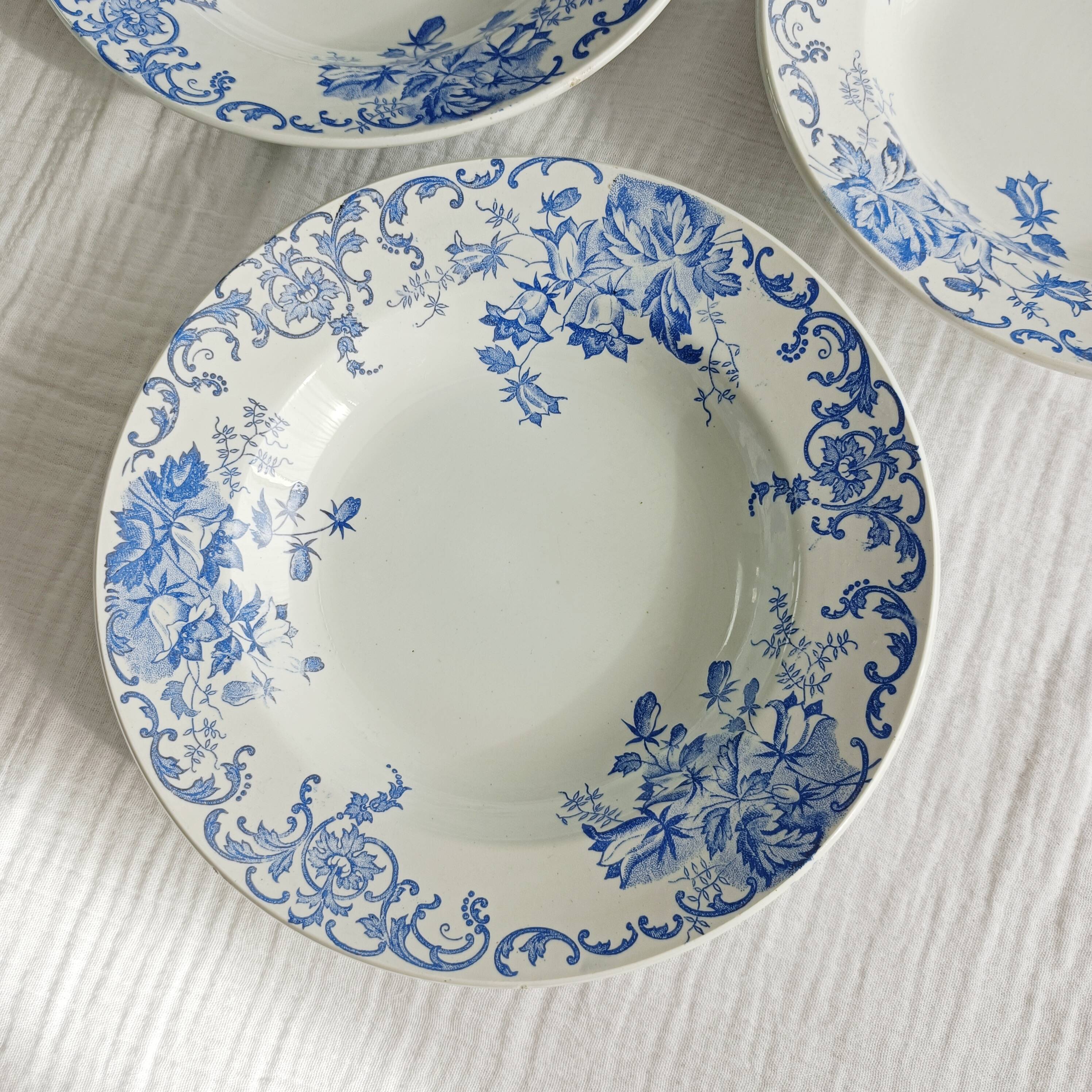 Set of 6 Saint Amand et Hamage iron earth soup plates, Bellflower