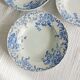 Set of 6 Saint Amand et Hamage iron earth soup plates, Bellflower