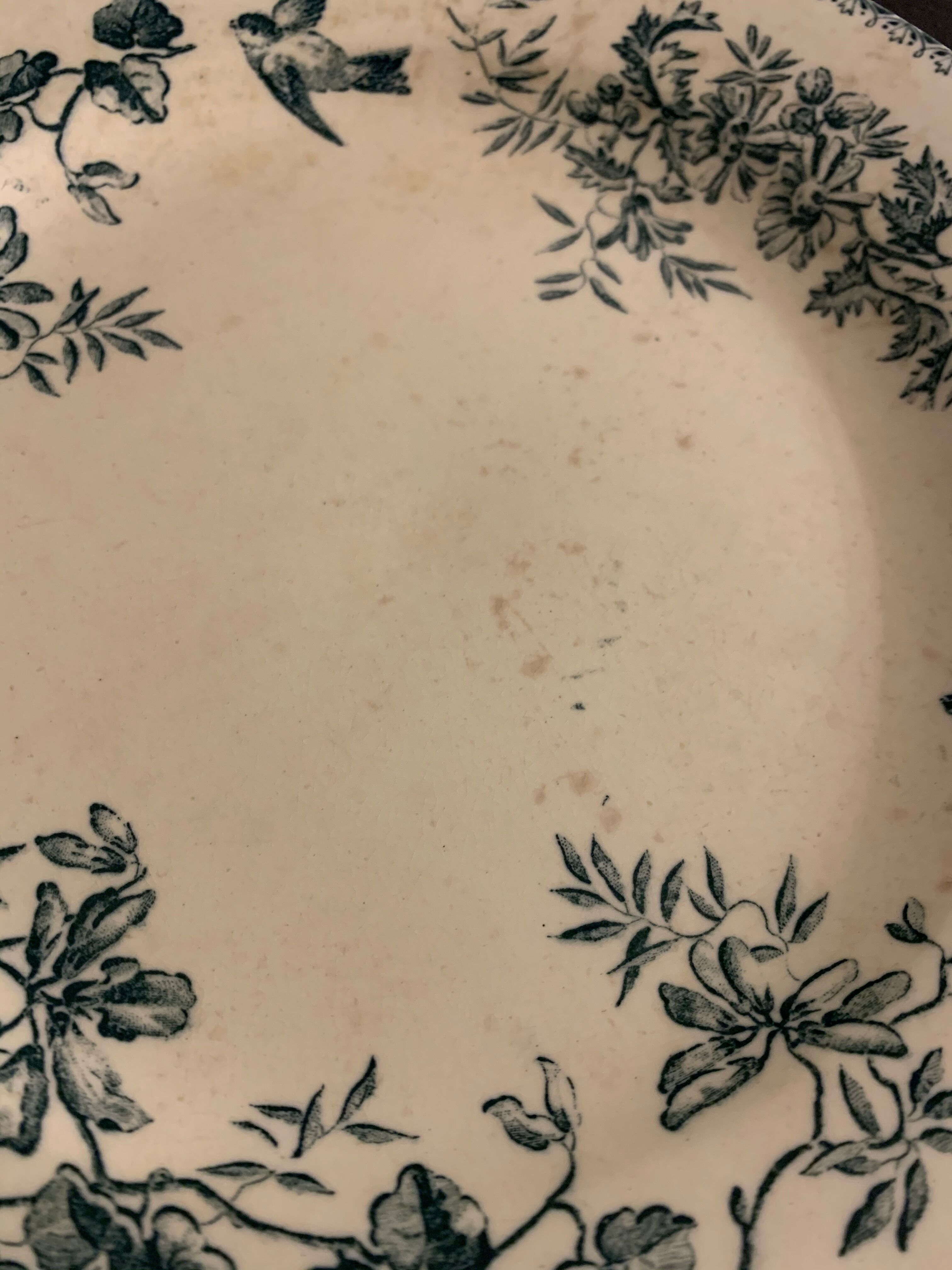 6 old blue flat plates La Samaritane Terre de Fer