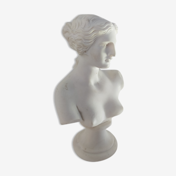 bust of a handmade woman signed Greek goddess Aphrodite venus de milo