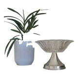 Coupe à fruits
