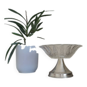 Fruit bowl