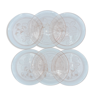 Service of 6 translucent pink arcopal plates