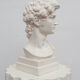 David head in white plaster