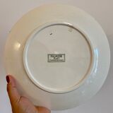 Set of 8 vintage plates in palmyre de sarreguemines iron earth (lot 3)