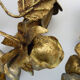 Pair of gilded metal sconces decorated with flowers and foliage. Year 60