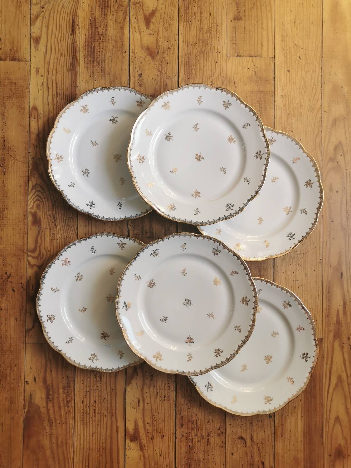 Old SFP porcelain dinner plates