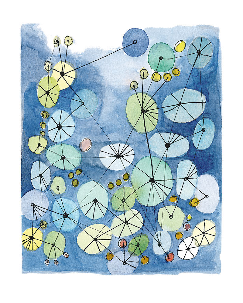 Constellation