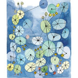 Constellation