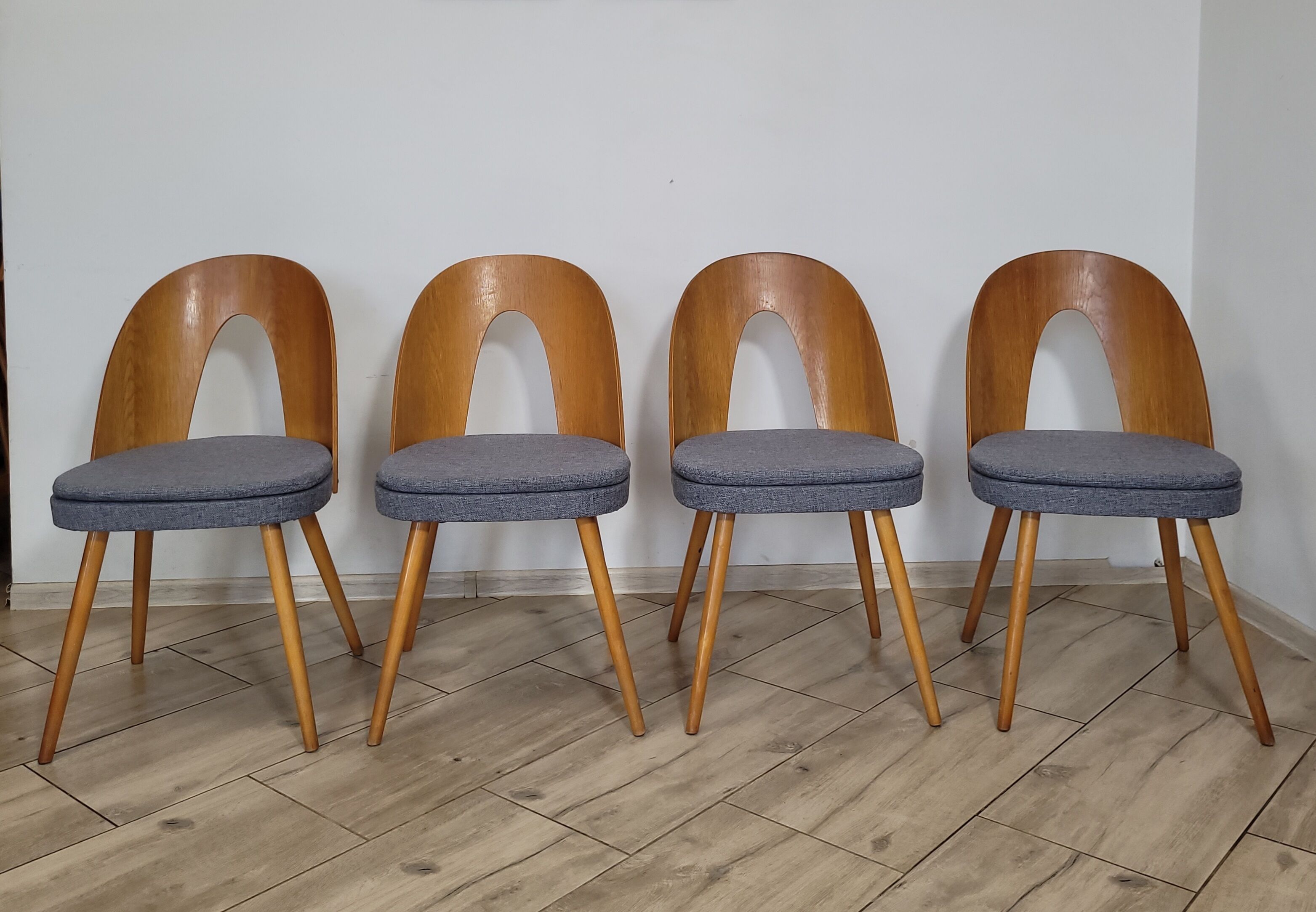 Chairs by Anotnin Suman Design Czechoslovakia, 1960