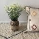 White Sabra Catus Silk Cushion