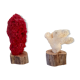 Coral vintage on wooden base