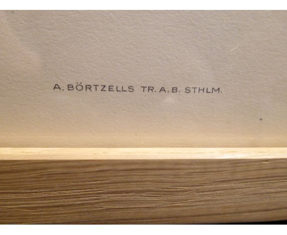 Natural History Color Lithography Tridactyl Pic 1929