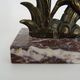 Pair of art deco book greenhouse in regulates and marble. Signed Ucra