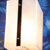 Lidokov Acrylic Pendant Lamp