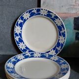 Five dessert plates of Badonviller with flowers