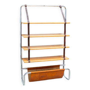 Jumbo Bookcase by Luigi Massoni for Poltrona Frau