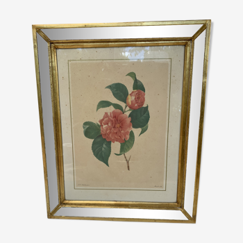 Table camellia mirror frame