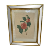 Table camellia mirror frame