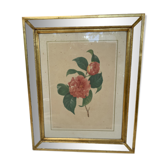 Table camellia mirror frame