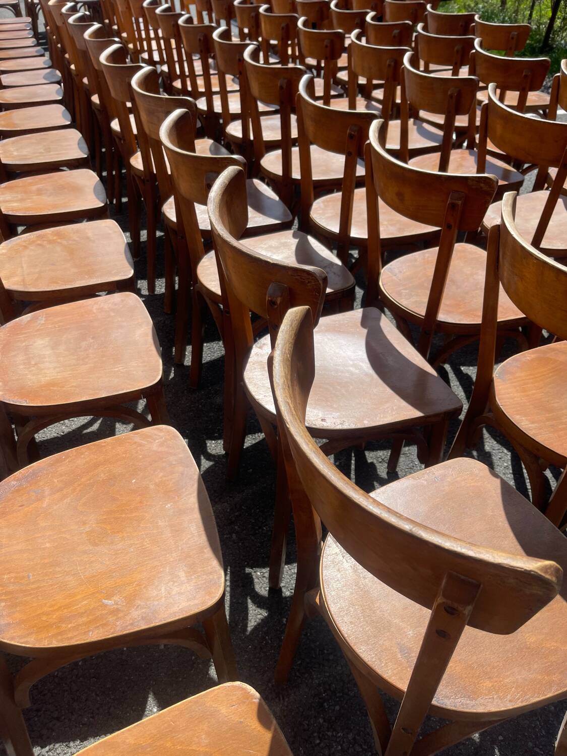Lot of 60 wooden bistro chairs from the Baumann 1970s