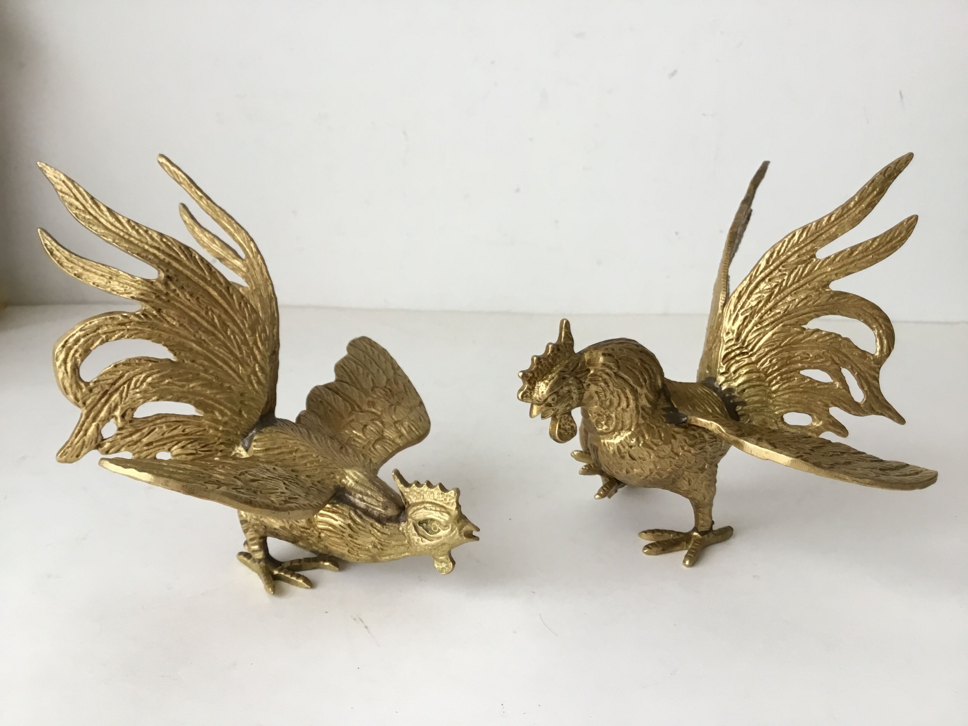 Couple de coqs au combat