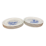 Set of 11 flat plates