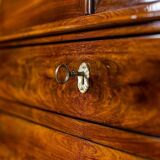 Antique Danish Walnut Cabinet, 1890s