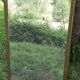 Antique mercury mirror. (Fireplace mirror)