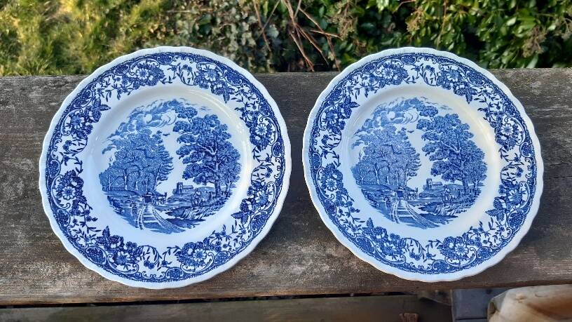 Set of 6 Royal Tudor dessert plates