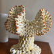 Shell jewelry box