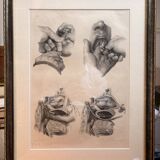 Old Engraving Nose Nasal Cavity NICOLAS HENRI Jacob Bourgery Medical Anatomy