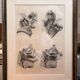 Old Engraving Nose Nasal Cavity NICOLAS HENRI Jacob Bourgery Medical Anatomy
