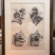Old Engraving Nose Nasal Cavity NICOLAS HENRI Jacob Bourgery Medical Anatomy