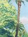 Original watercolor by tony minartz (1870-1944) spring walk in a park on the côte d'azur