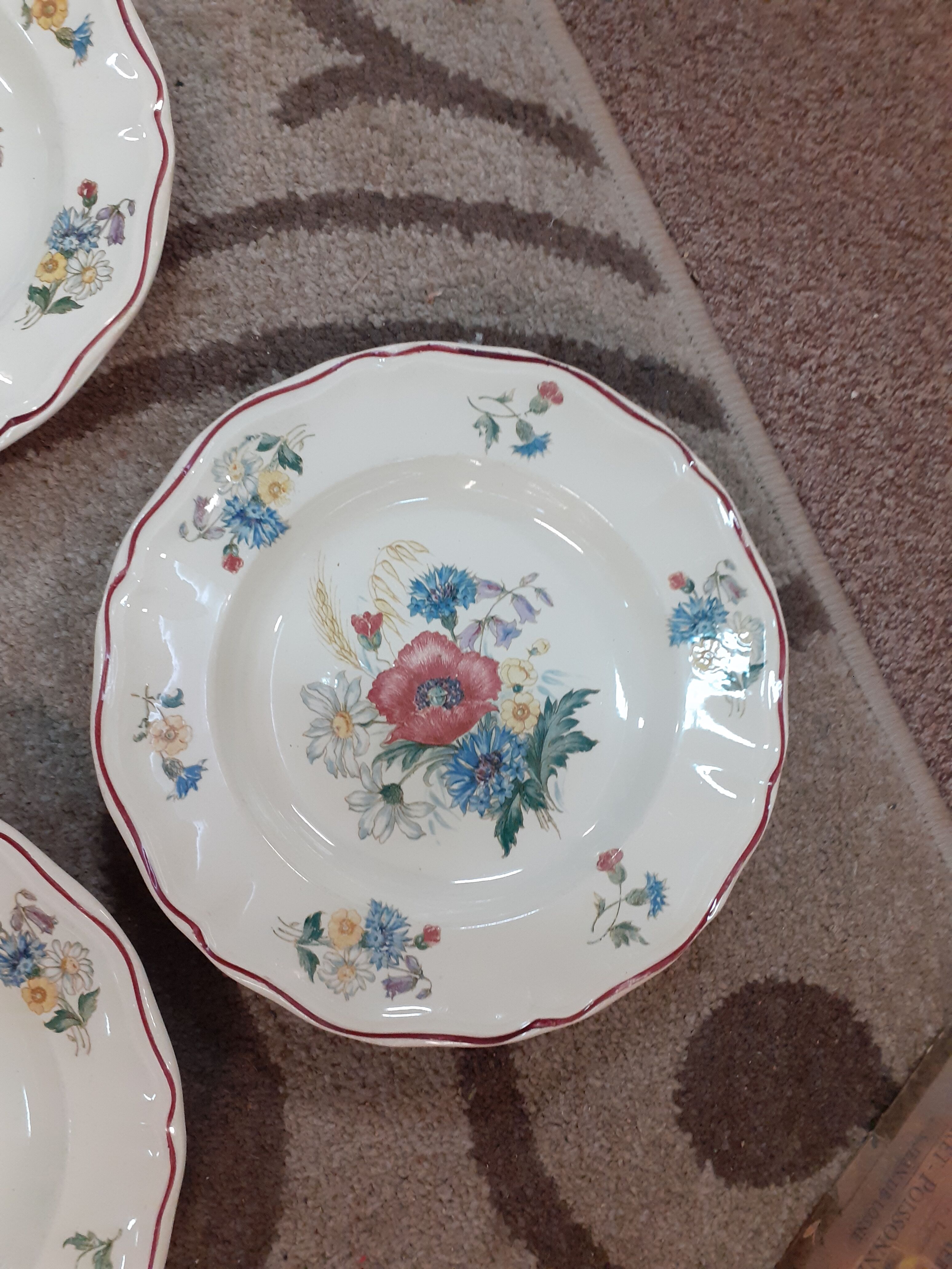 Lot de 6 assiettes creuses Sarreguemines modèle Agreste