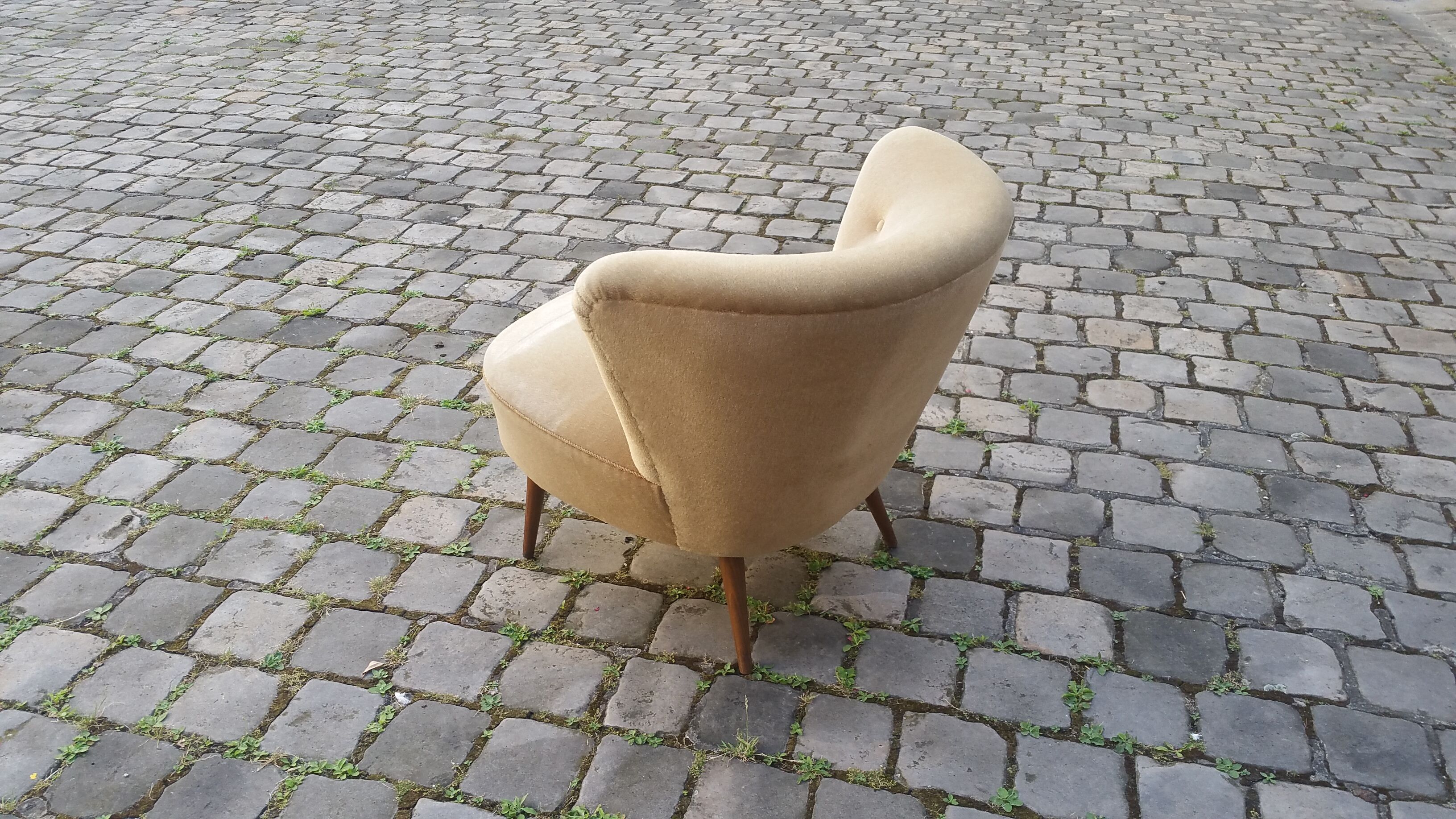 Chair Chair 50s Toad