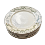 10 flat plates .model champagne .badonvillers