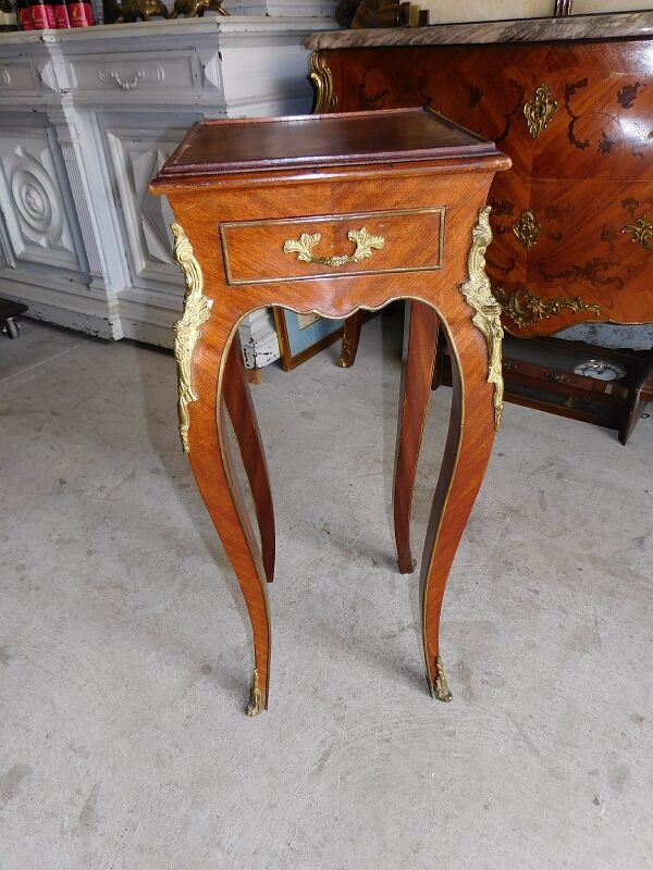 Harness in veneer and bronze