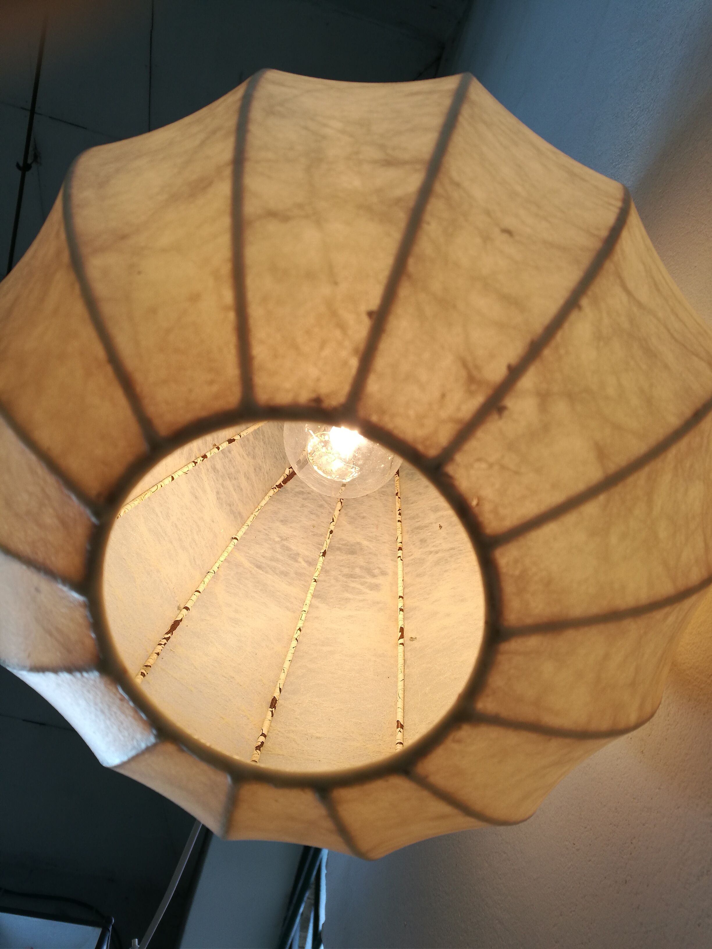 Cocoon hanging lamp