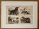 Illustrated plate on hunting dogs (retriever, German shorthaired pointer, dachshund) – 1890