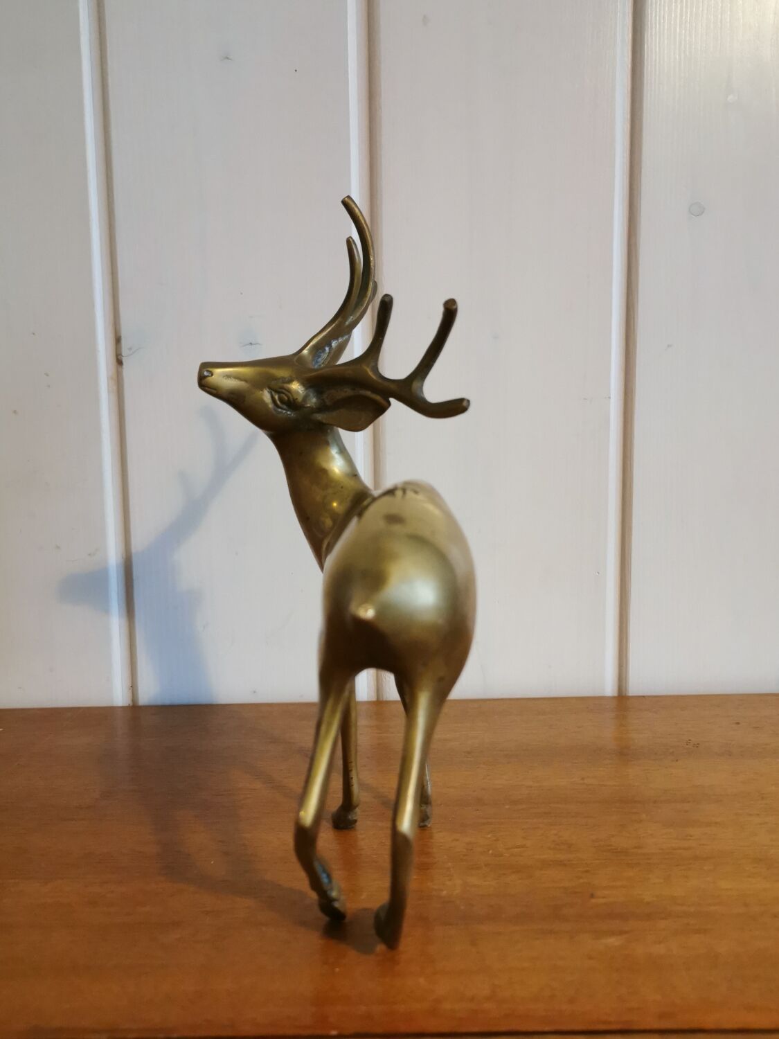 Young golden brass deer