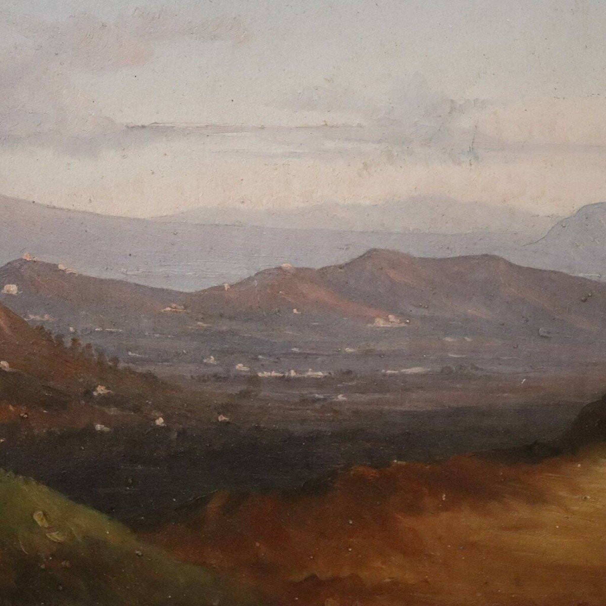 Panoramic view of Naples, oil painting on canvas, Italy 19th century