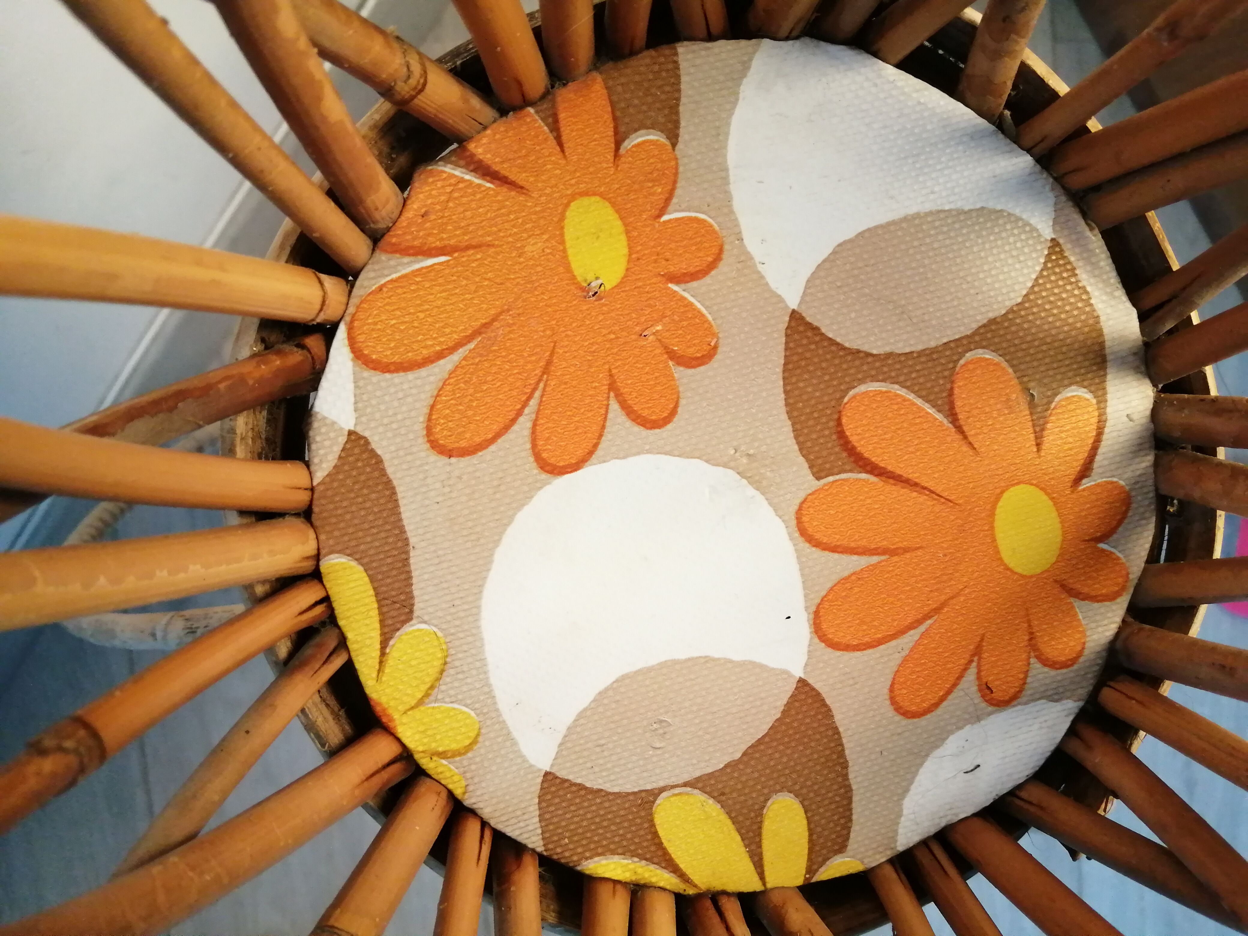 Door rattan plant 60s