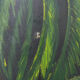 Oil on canvas signed s.demouk