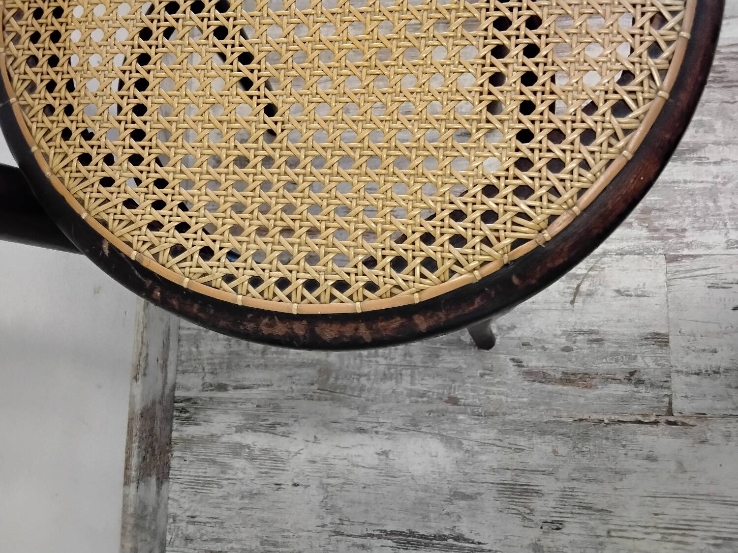 Thonet chair